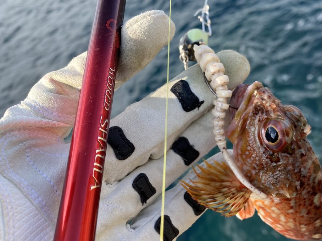 おすすめのロッド